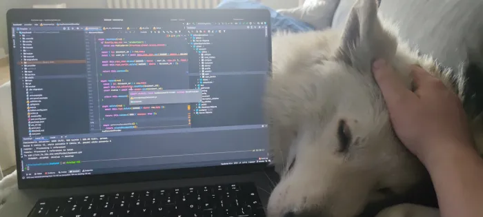 white dog lying by the laptop
