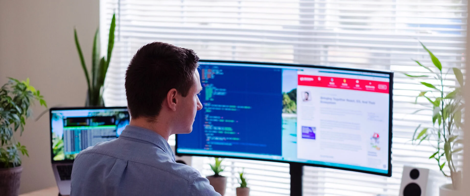 Software developer